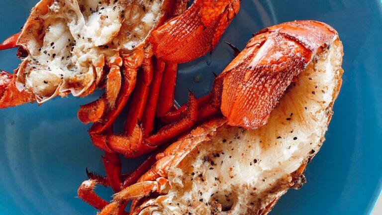 Lobster lunch on board a Riviera Maya yacht charter