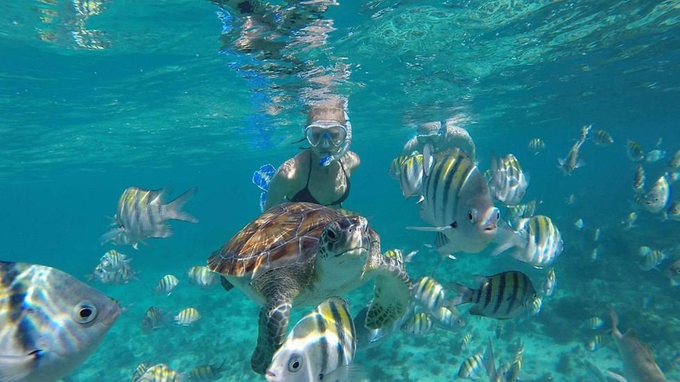 leopard 40 snorkeling in Riviera Maya yacht rentals