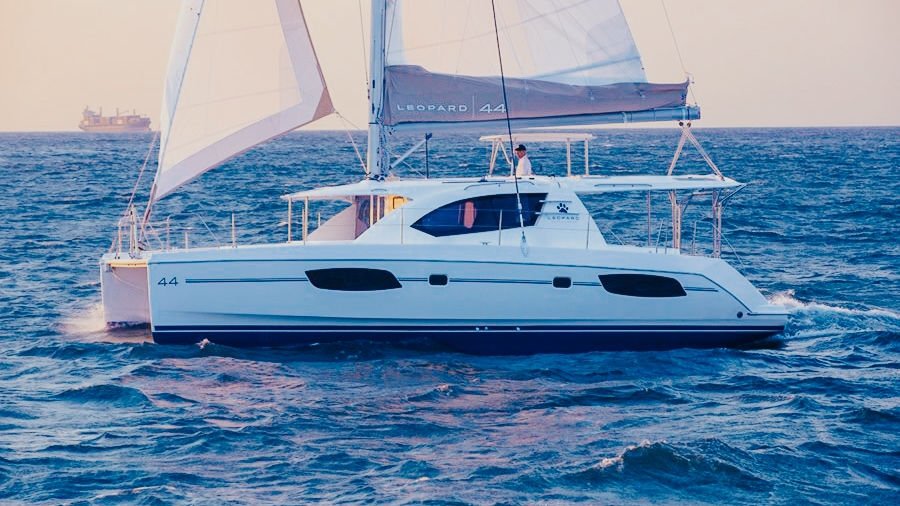 leopard 44