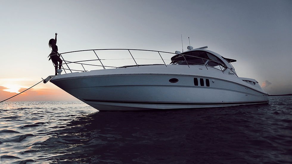 yacht rentals SEA RAY 40