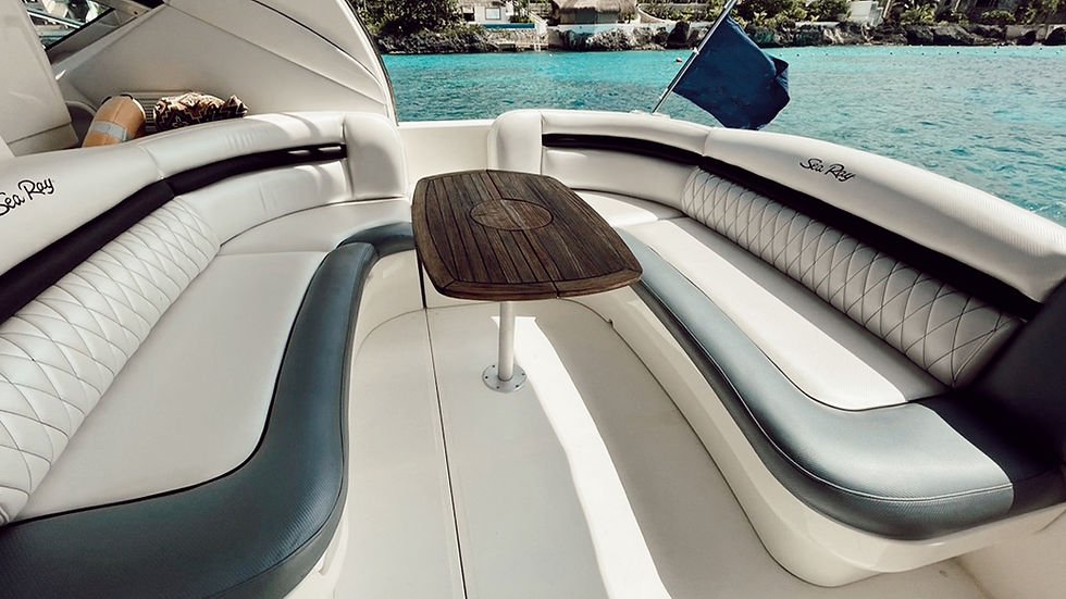 SEA RAY 40 interior