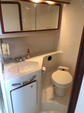 sea ray 47 toilet
