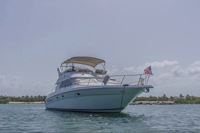 yacht rentals - Sea Ray 51