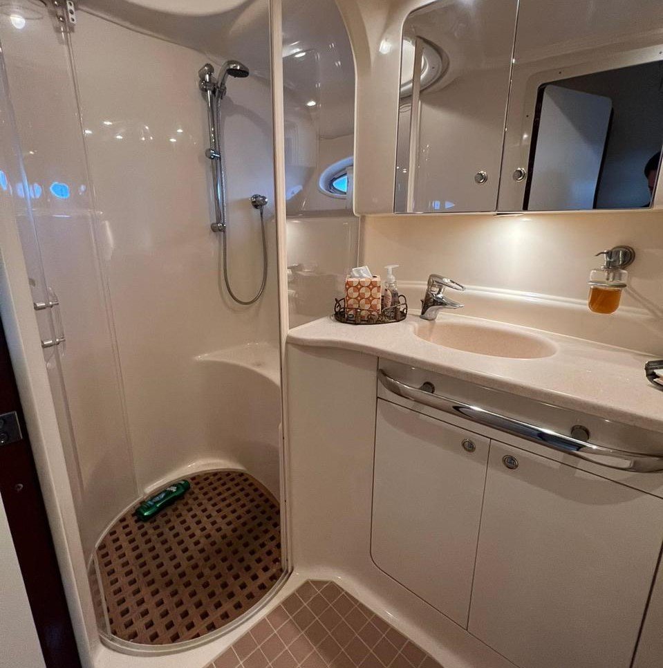 sea ray 55 toilet