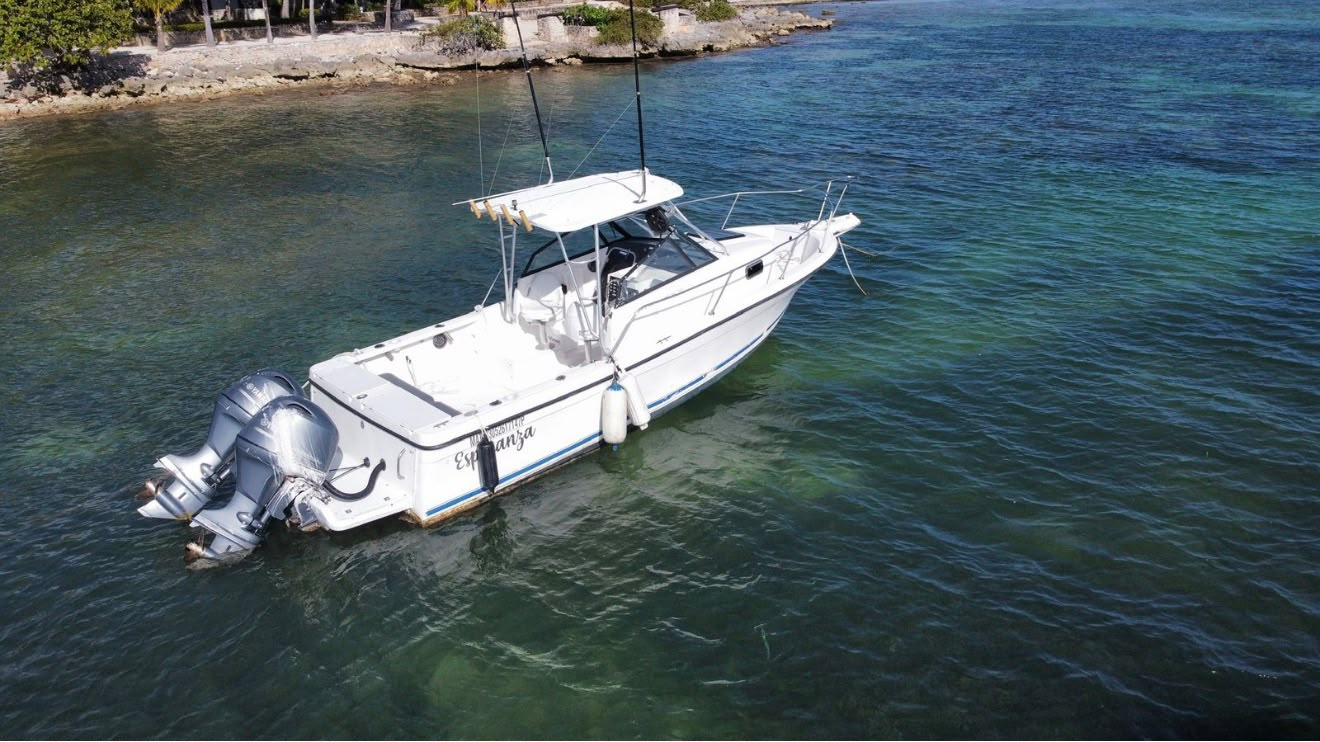 Akumal boat rental for snorkeling with turtles